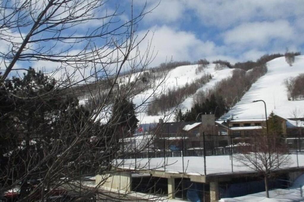 Blue Mountain Luxury Hébergement de vacances Blue Mountains